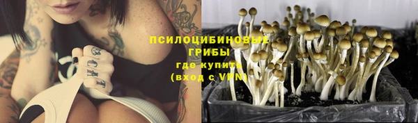 меф Козельск