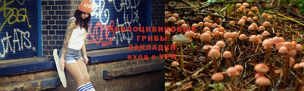 меф Козельск