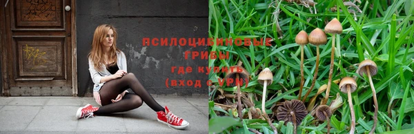 меф Козельск