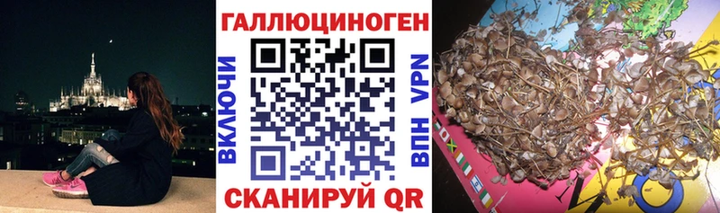Псилоцибиновые грибы GOLDEN TEACHER  Купить закладки  Инта 