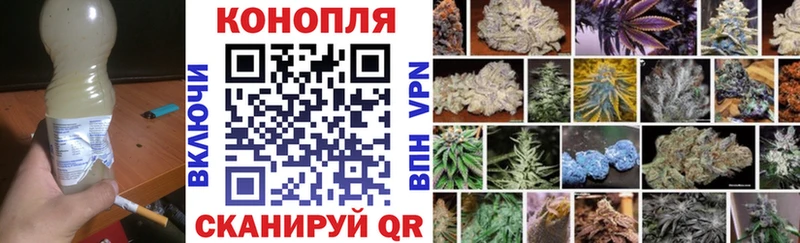 Купить закладки  Инта  Конопля ГИДРОПОН 